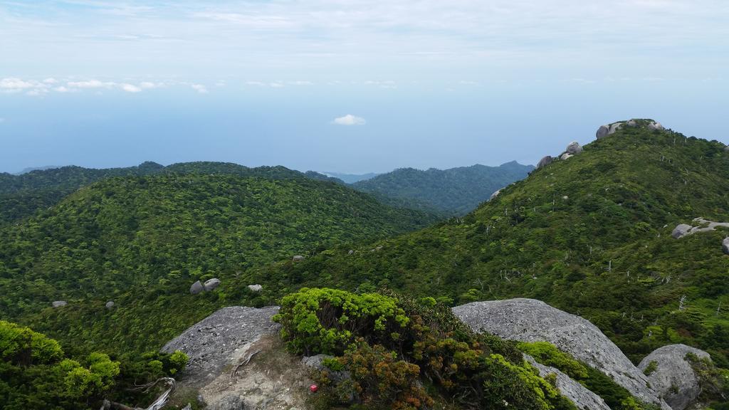 Minnsyuku Yakushimaya Yakushima  Bagian luar foto